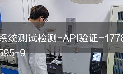 系统测试检测-API验证-1778292595-9