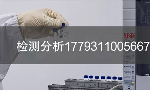 检测分析1779311005667检测