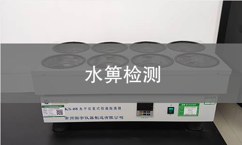 水箅检测