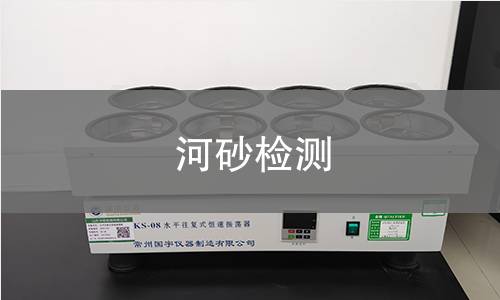 河砂检测