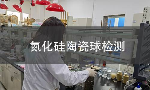氮化硅陶瓷球检测