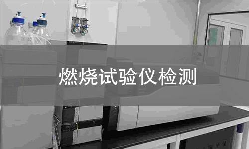 燃烧试验仪检测