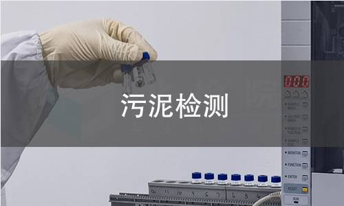 污泥检测