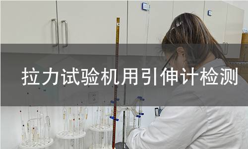 拉力试验机用引伸计检测