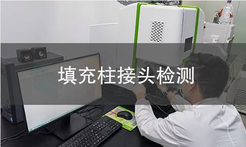 填充柱接头检测,填充柱接头检测机构,填充柱接头检测