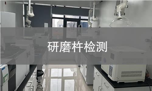 研磨杵检测