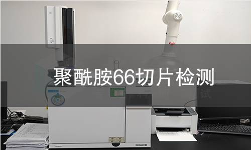 聚酰胺66切片检测