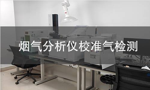 烟气分析仪校准气检测