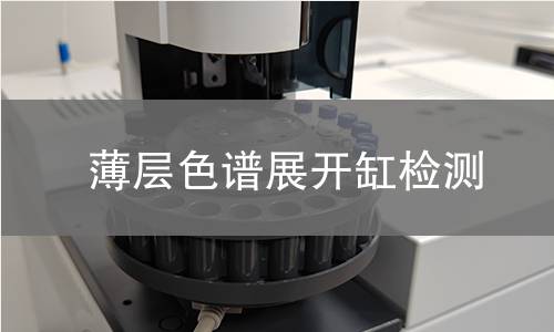 薄层色谱展开缸检测