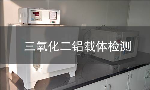 三氧化二铝载体检测