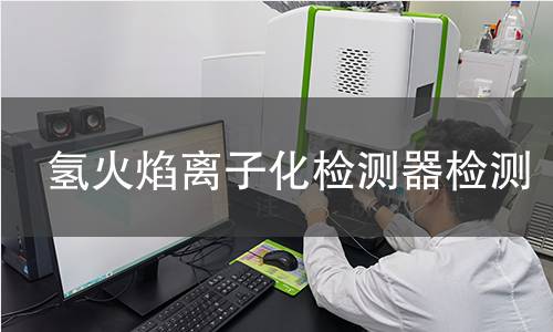 氢火焰离子化检测器检测