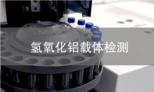 氢氧化铝载体检测