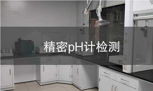 精密pH计检测,精密pH计检测机构,精密pH计检测报告,北检(北京)检测技术研究院检测中心