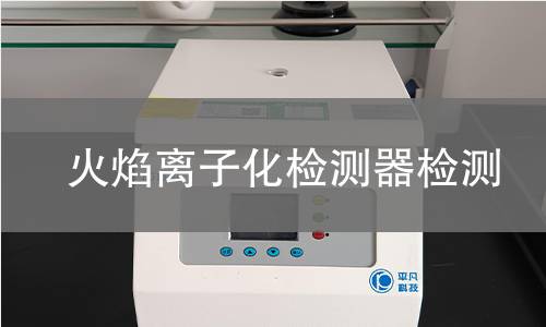 火焰离子化检测器检测