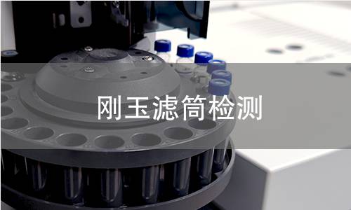 刚玉滤筒检测,刚玉滤筒检测机构,刚玉滤筒检测