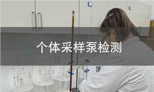 个体采样泵检测