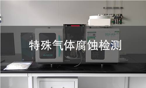 特殊气体腐蚀检测