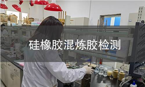 硅橡胶混炼胶检测