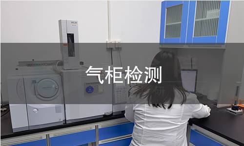 气柜检测