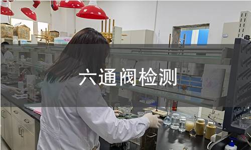 六通阀检测