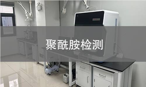 聚酰胺检测