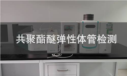 共聚酯醚弹性体管检测