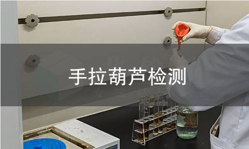 手拉葫芦检测