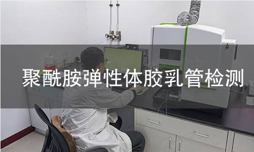 聚酰胺弹性体胶乳管检测