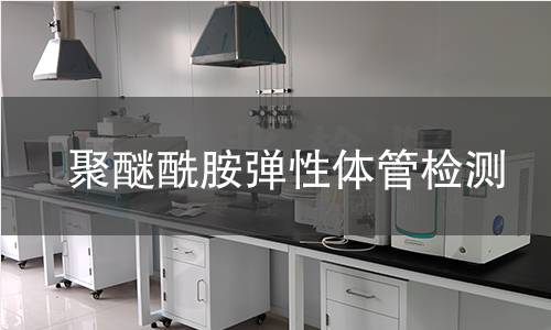 聚醚酰胺弹性体管检测
