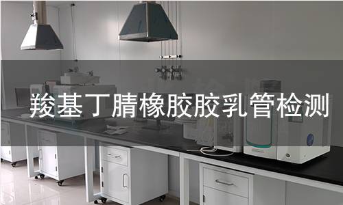 羧基丁腈橡胶胶乳管检测