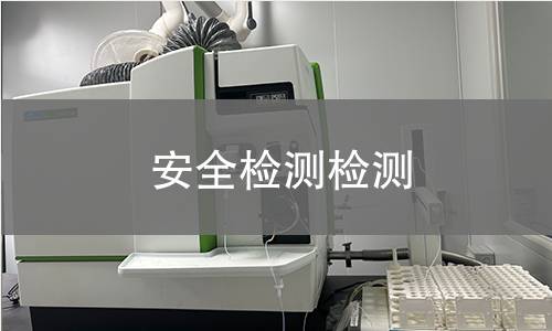 安全检测检测
