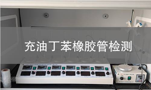 充油丁苯橡胶管检测