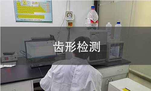 齿形检测,齿形检测机构,机械传动系统齿形检测