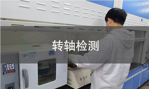 转轴检测