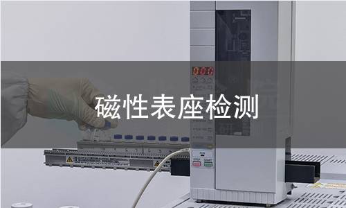磁性表座检测