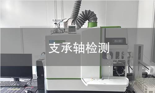 支承轴检测