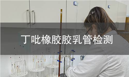 丁吡橡胶胶乳管检测