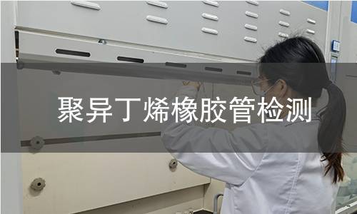 聚异丁烯橡胶管检测