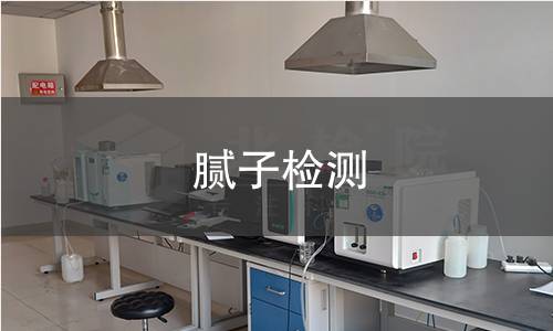 腻子检测