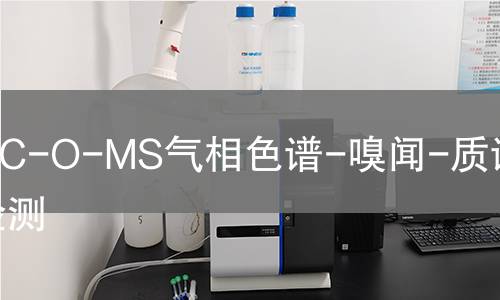 GC-O-MS气相色谱-嗅闻-质谱联用检测,GC-O-MS气相色谱-嗅闻-质谱联用检测机构,GC-O-MS气相色谱-嗅闻-质谱联用检测报告,北检研究院检测中心