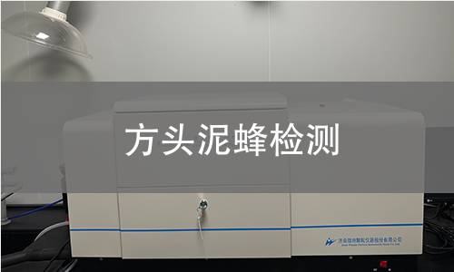 方头泥蜂检测