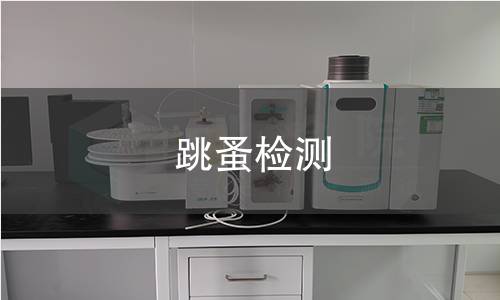 跳蚤检测
