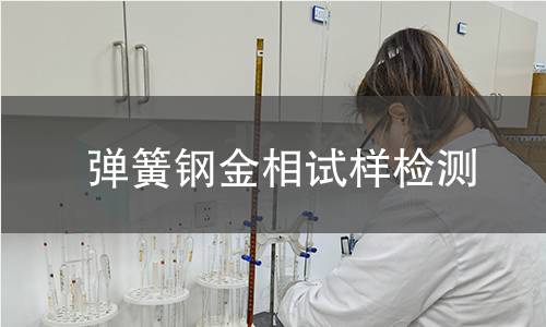 弹簧钢金相试样检测