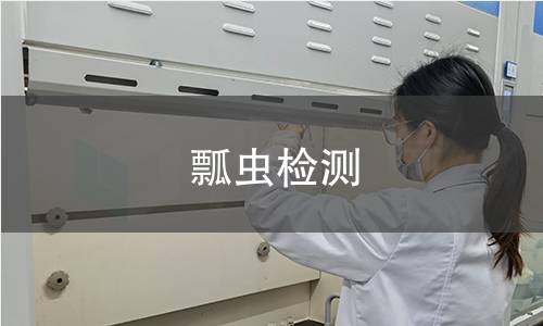 瓢虫检测,瓢虫检测机构,瓢虫产品检测服务