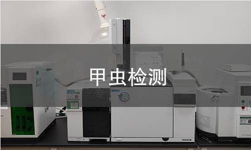 甲虫检测
