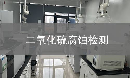 二氧化硫腐蚀检测