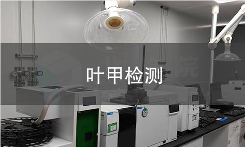 叶甲检测