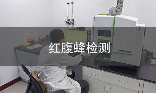 红腹蜂检测