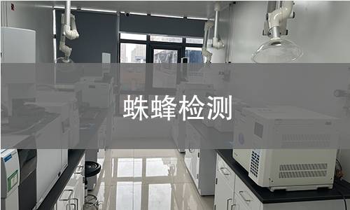 蛛蜂检测