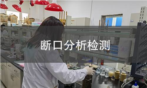 断口分析检测